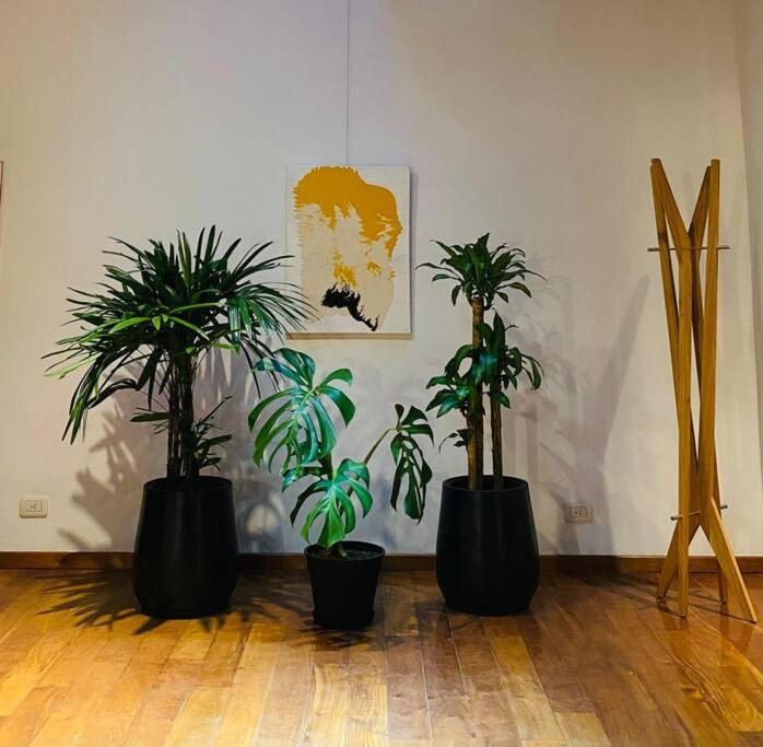 Arts Loft, A Estrenar! Buenos Aires Apartment Exterior photo